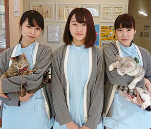 アニス動物病院スタッフ